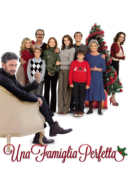 Movie poster for A Perfect Family (2012)