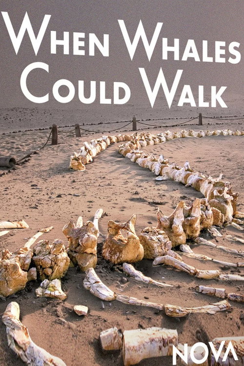 Movie poster for When Whales Could Walk (2024)