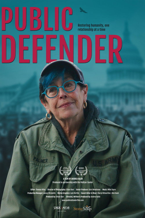 Movie poster for Public Defender (2024)