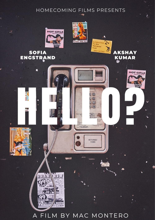 Movie poster for Hello? (2024)