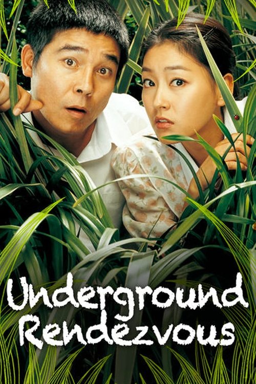 Movie poster for Underground Rendezvous (2007)