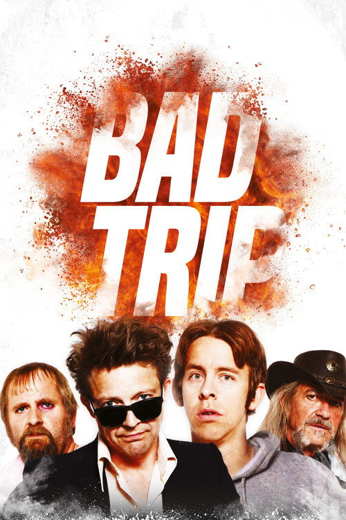 Movie poster for Bad Trip (2017)