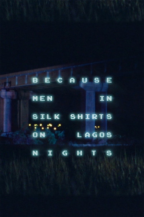 Movie poster for Because Men in Silk Shirts on Lagos Nights (2019)