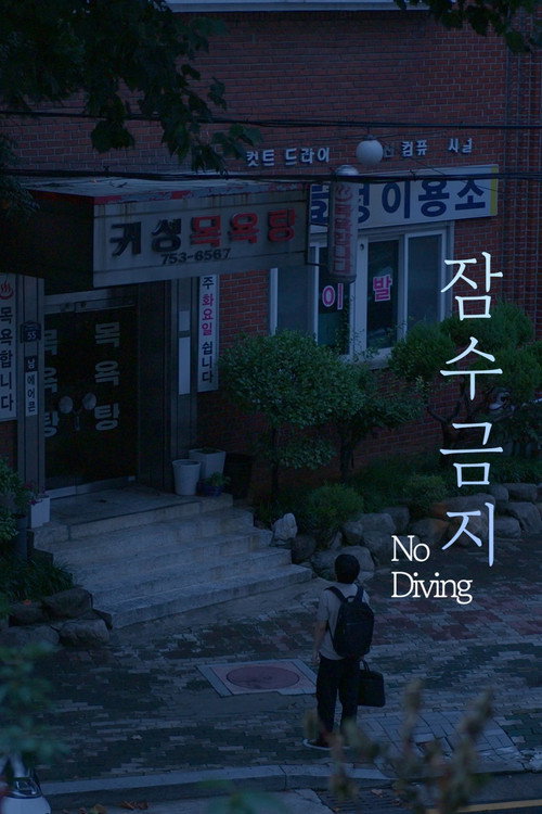 Movie poster for No Diving (2025)