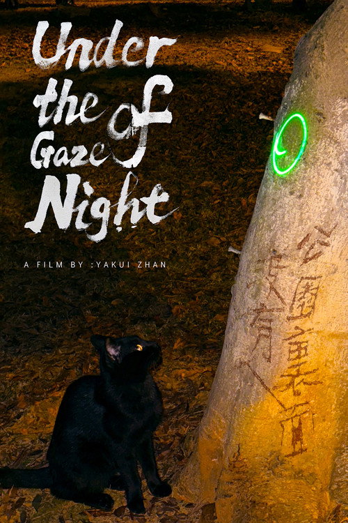 Movie poster for Under the Gaze of Night