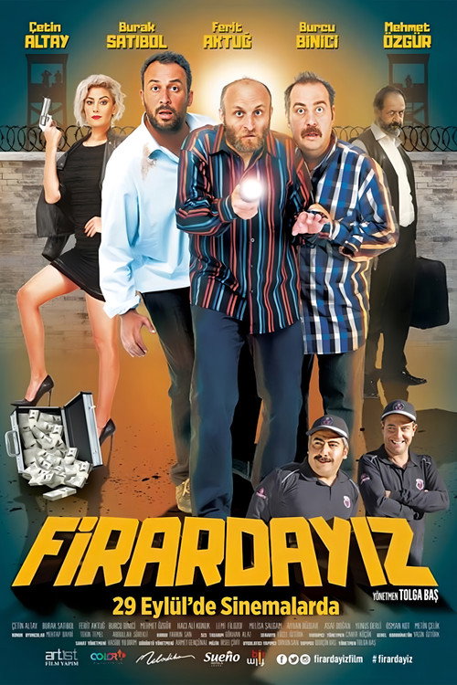 Movie poster for Firardayız (2017)