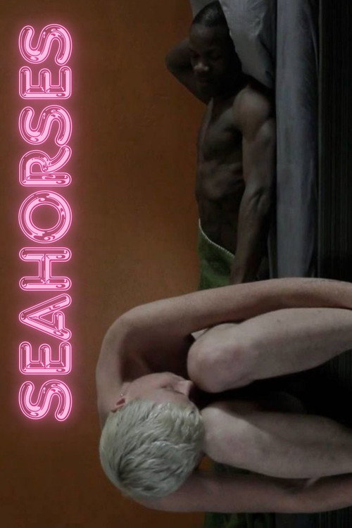 Movie poster for Seahorses (2014)