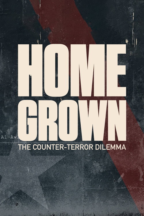 Movie poster for Homegrown: The Counter-Terror Dilemma (2016)