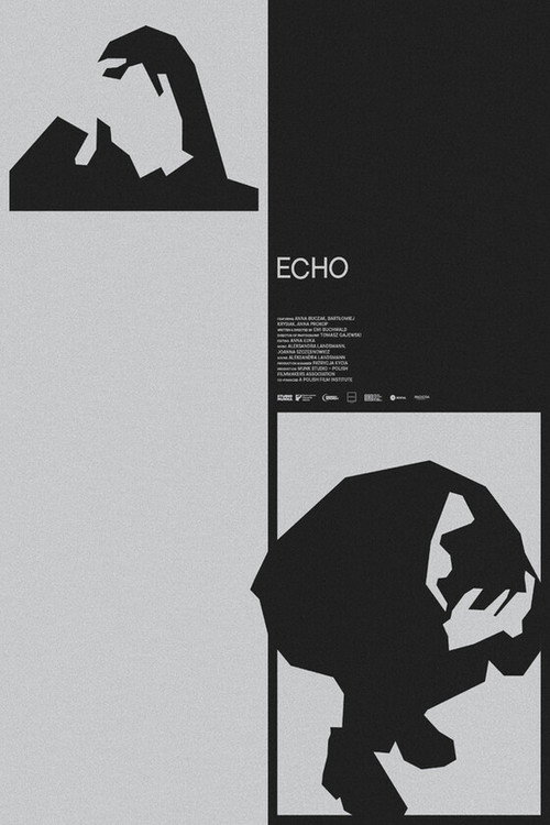 Movie poster for Echo (2023)