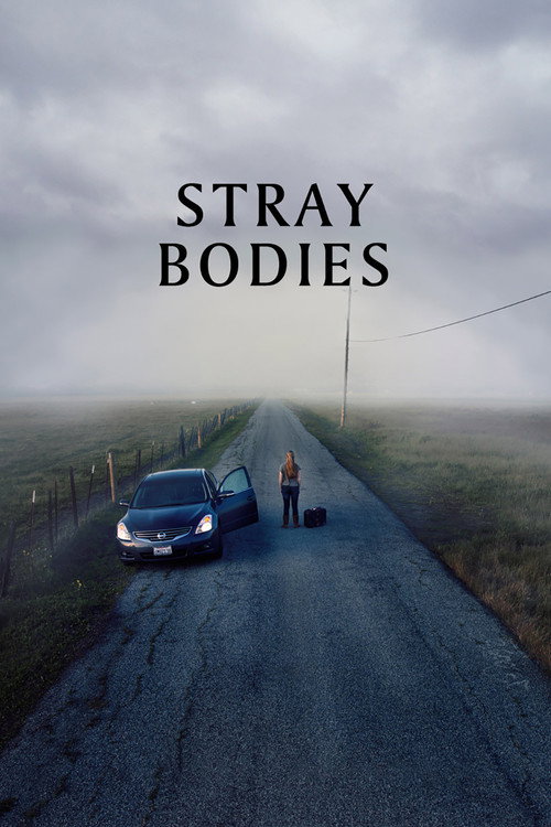 Movie poster for Stray Bodies (2024)
