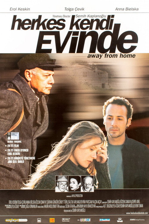 Movie poster for Away from Home (2001)