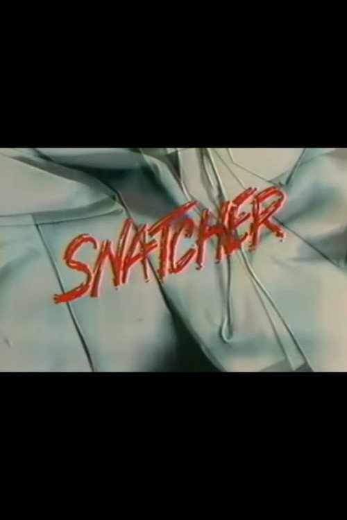 Movie poster for Snatcher (1991)