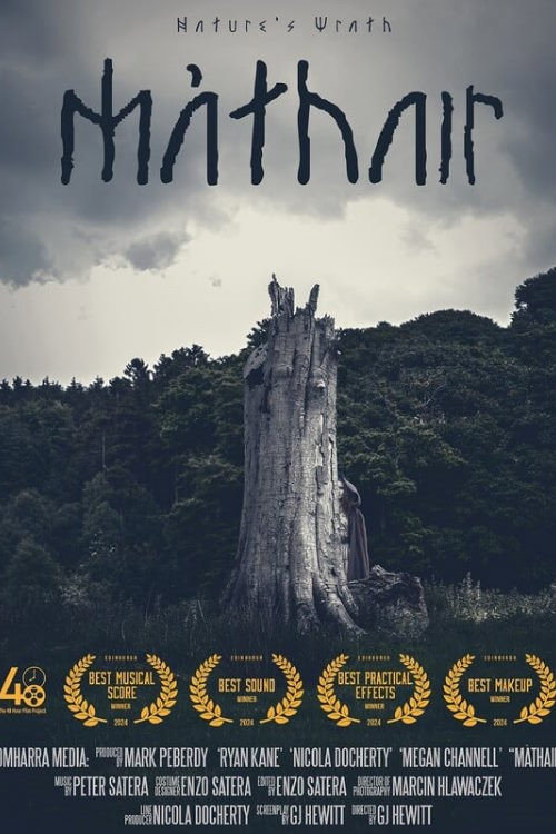 Movie poster for Màthair (2024)