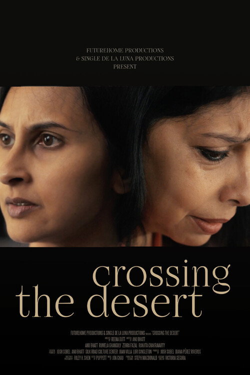 Movie poster for Crossing the Desert (2025)