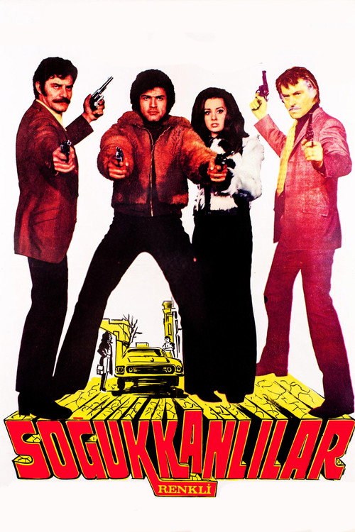Movie poster for Soğukkanlılar (1973)