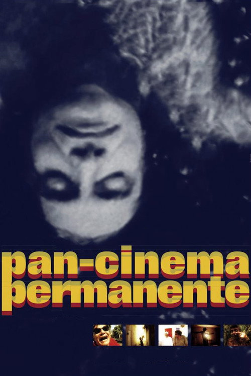 Movie poster for Permanent Pan-Cinema (2008)