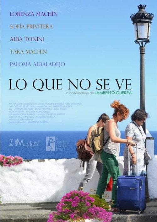 Movie poster for Lo que no se ve (2017)