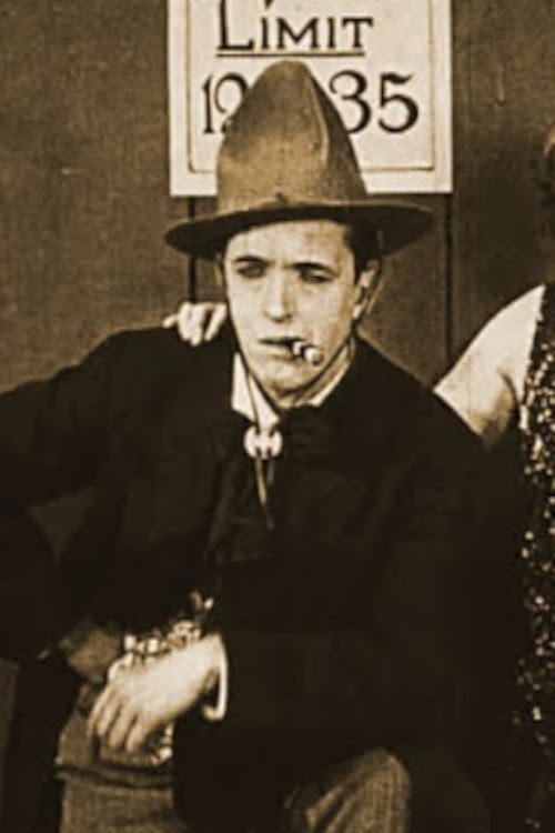 Movie poster for Wide Open Spaces (1924)