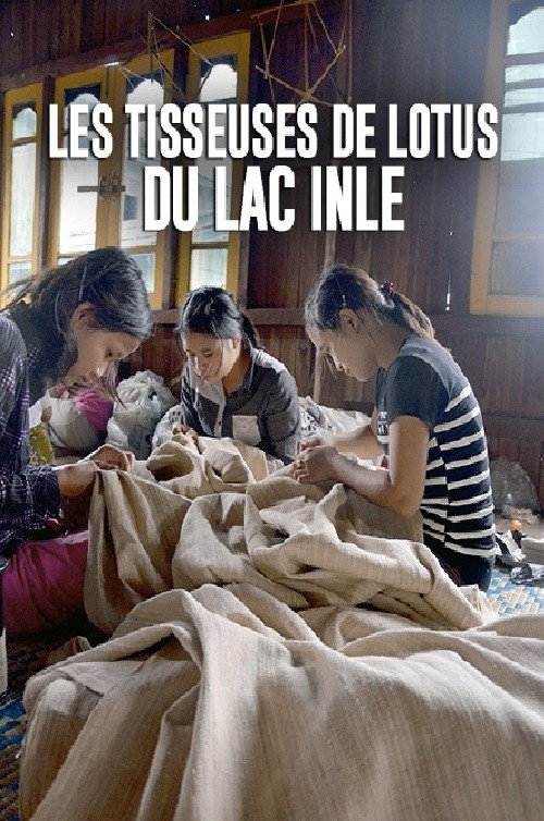 Movie poster for Die Lotosweberinnen vom Inlesee (2022)