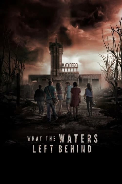 Movie poster for What the Waters Left Behind (2017)