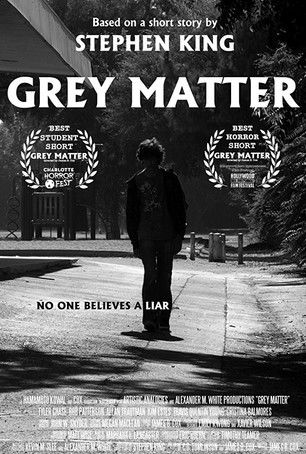 Movie poster for Grey Matter (2012)