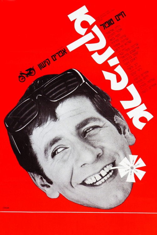 Movie poster for Ervinka (1967)
