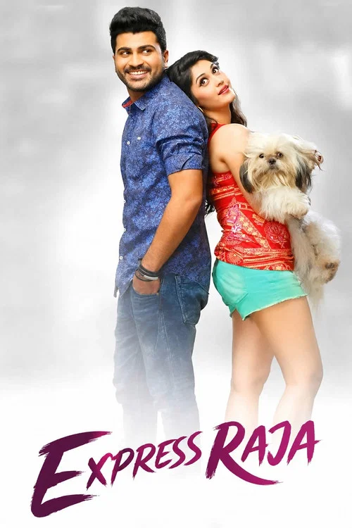 Movie poster for Express Raja (2016)