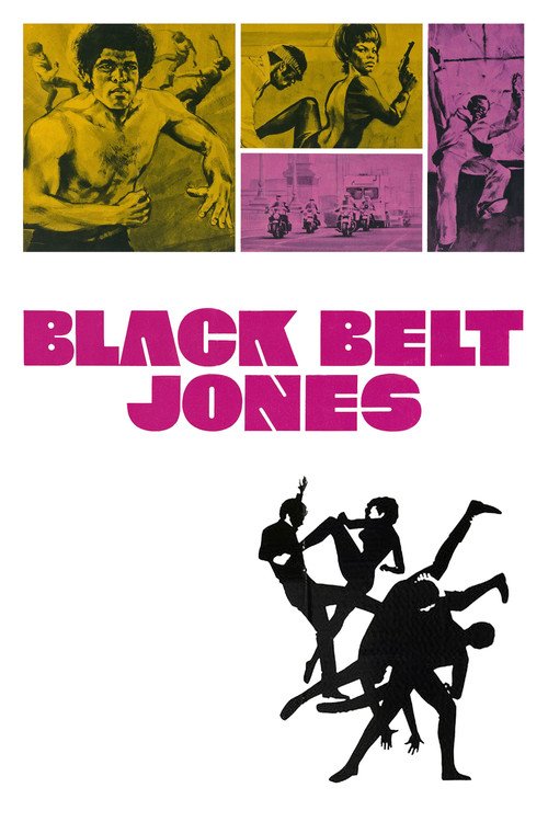 Movie poster for Black Belt Jones (1974)