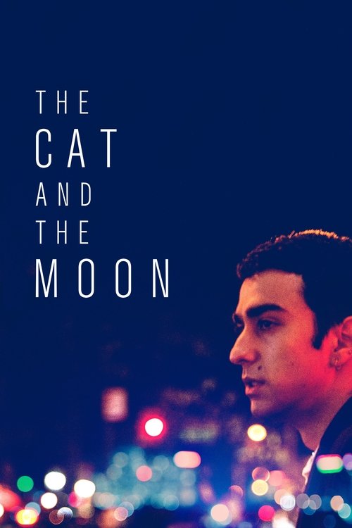 Movie poster for The Cat and the Moon (2019)