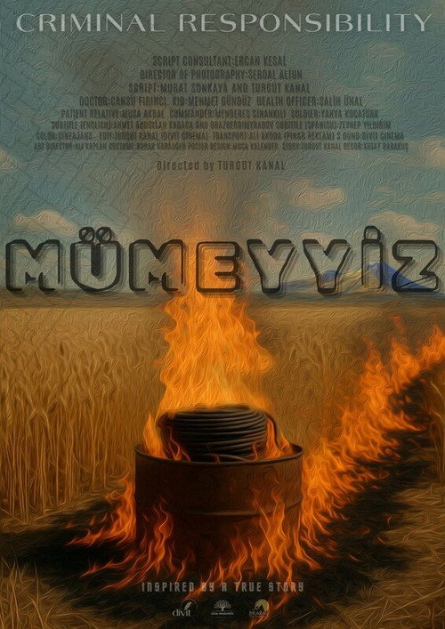 Movie poster for Criminal Responsibility (2025)