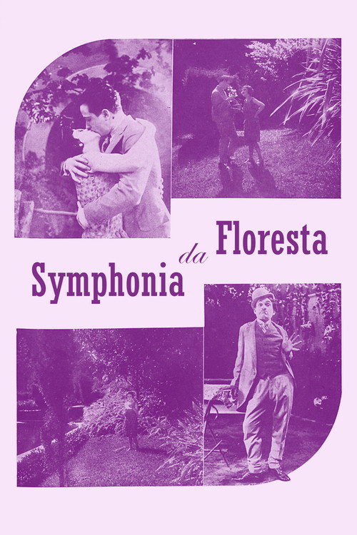 Movie poster for Sinfonia da Floresta (1929)