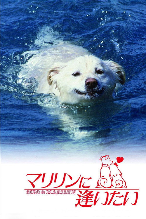 Movie poster for Shiro and Marilyn (1988)