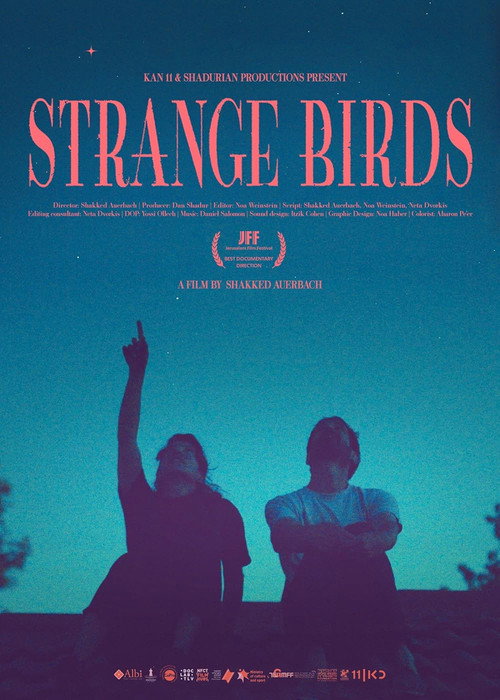 Movie poster for Strange Birds (2024)