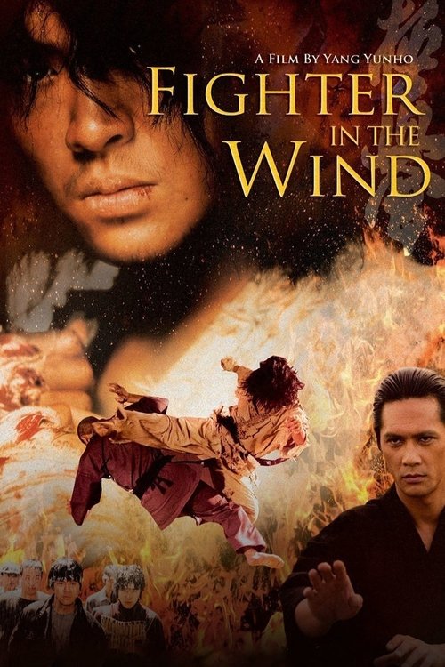 Movie poster for Fighter in the Wind (2004)