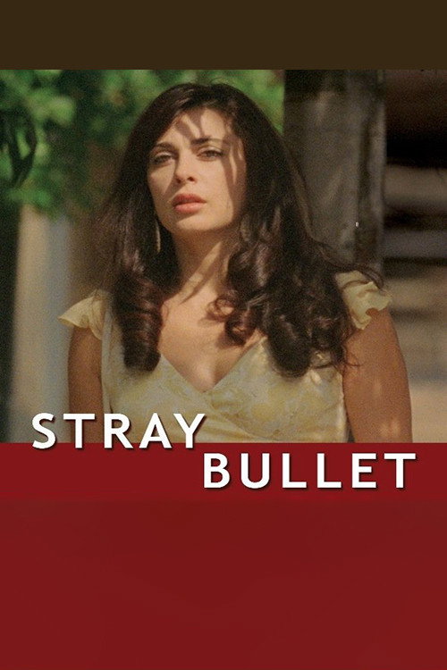 Movie poster for Stray Bullet (2010)