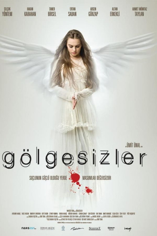 Movie poster for The Shadowless (2009)