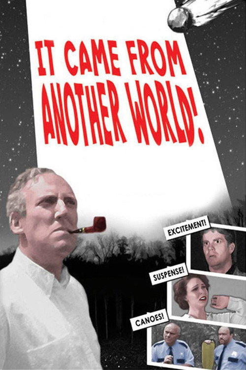 Movie poster for It Came From Another World! (2007)