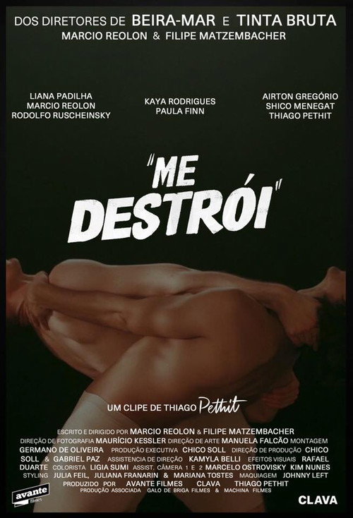 Movie poster for Me Destrói (2019)