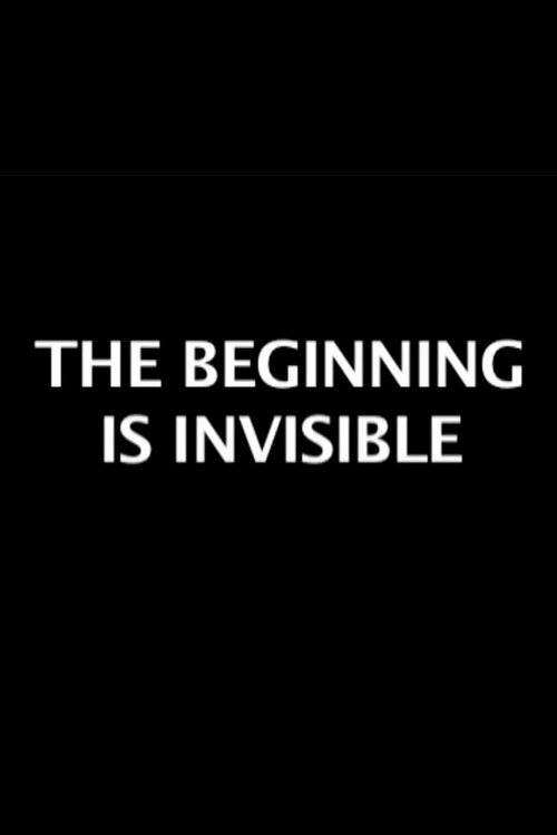 Movie poster for The Beginning is Invisible