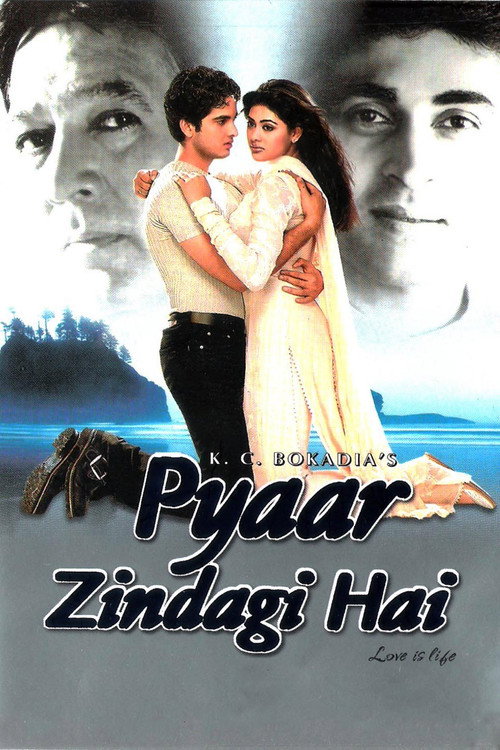 Movie poster for Pyaar Zindagi Hai (2001)