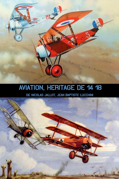 Movie poster for Aviation, héritage de 14-18 (2017)