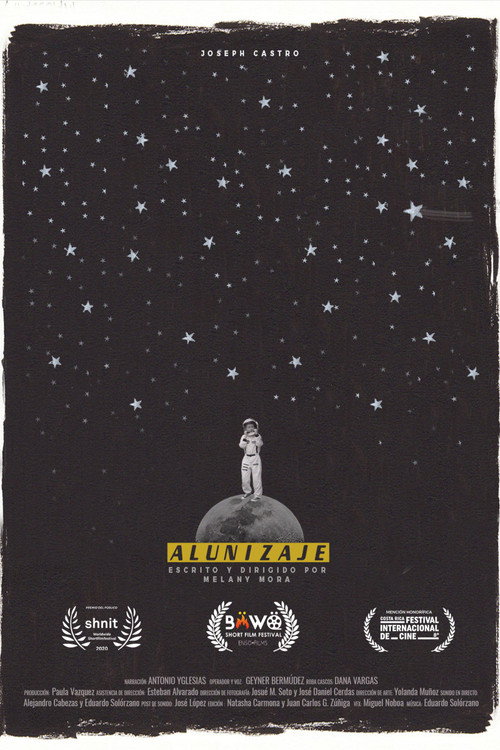 Movie poster for Moon Landing (2020)