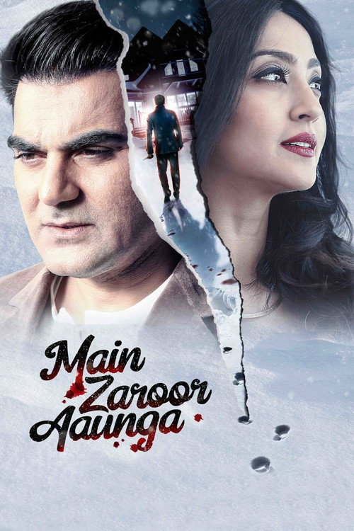 Movie poster for Main Zaroor Aaunga (2019)