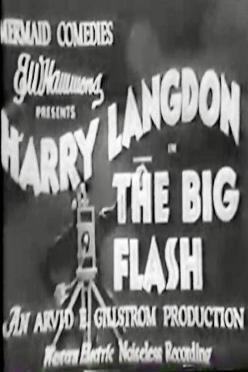 Movie poster for The Big Flash (1932)
