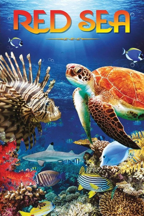 Movie poster for Red Sea (2016)