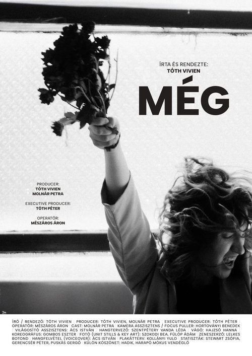 Movie poster for Még (2025)