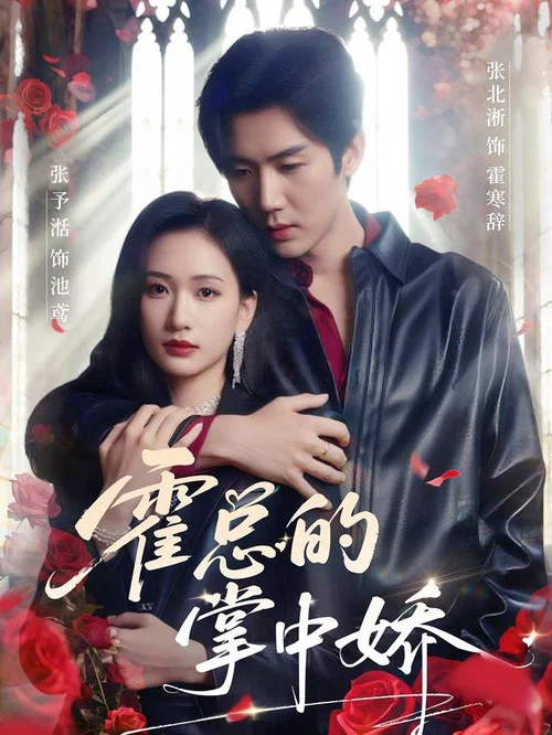 Series poster for 霍总的掌中娇 (2025)