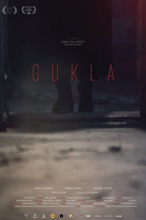 Movie poster for The Doll (2024)