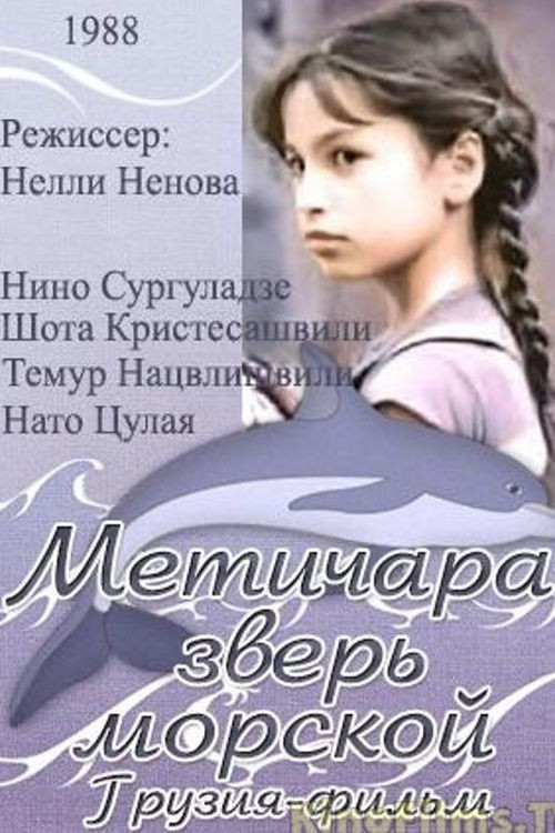 Movie poster for Metichara (1988)