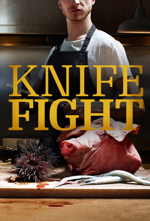 Series poster for Knife Fight (2013)